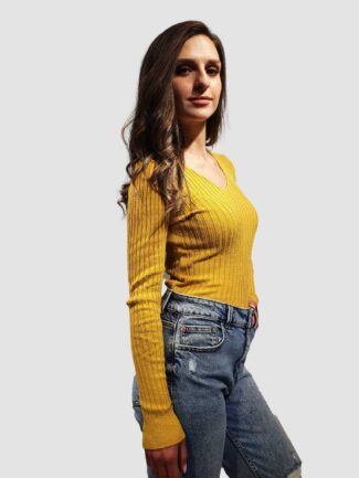 12046-yellow-(1)_optimized