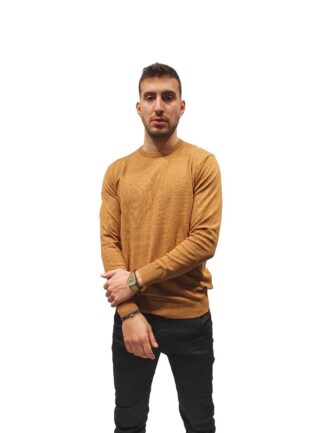 12245-camel-(1)_optimized