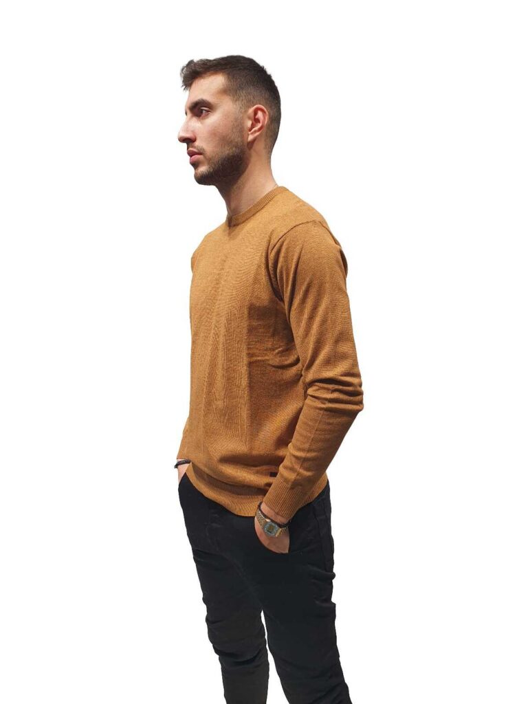 12245-camel-(3)_optimized