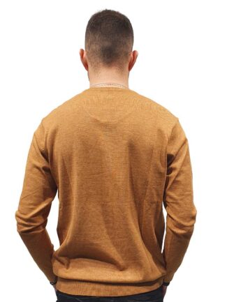 12245-camel-(5)_optimized