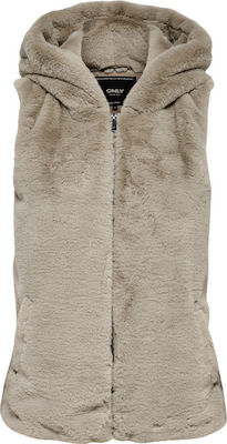 xlarge_20191119145757_3f2ed24c