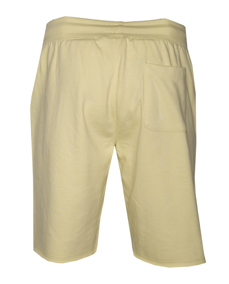 71937-lemon-b
