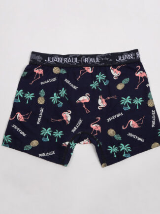 Boxer Μπλε Φλαμίγκο